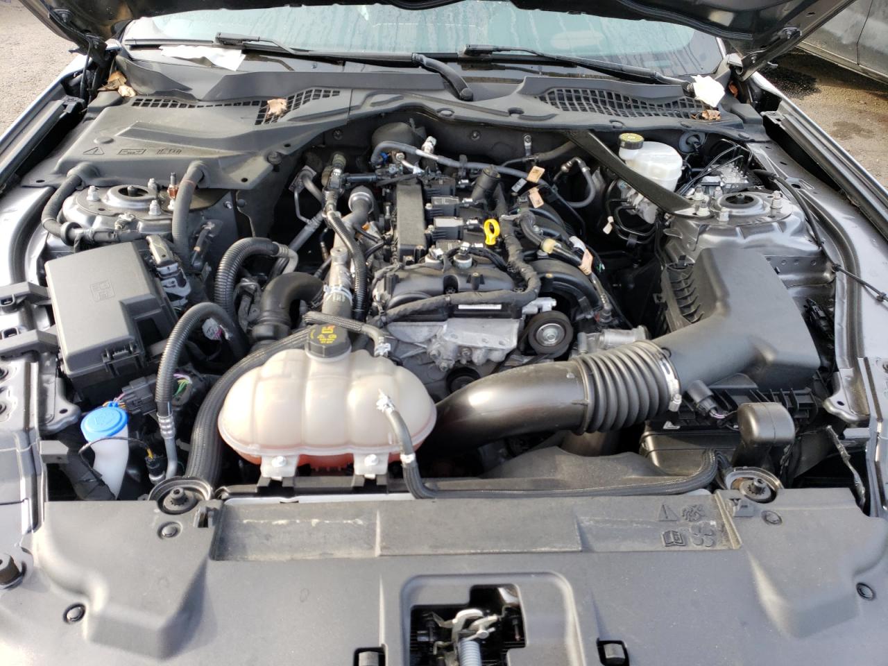 2023 Ford Mustang VIN: 1FATP8UH6P5104499 Lot: 83952615