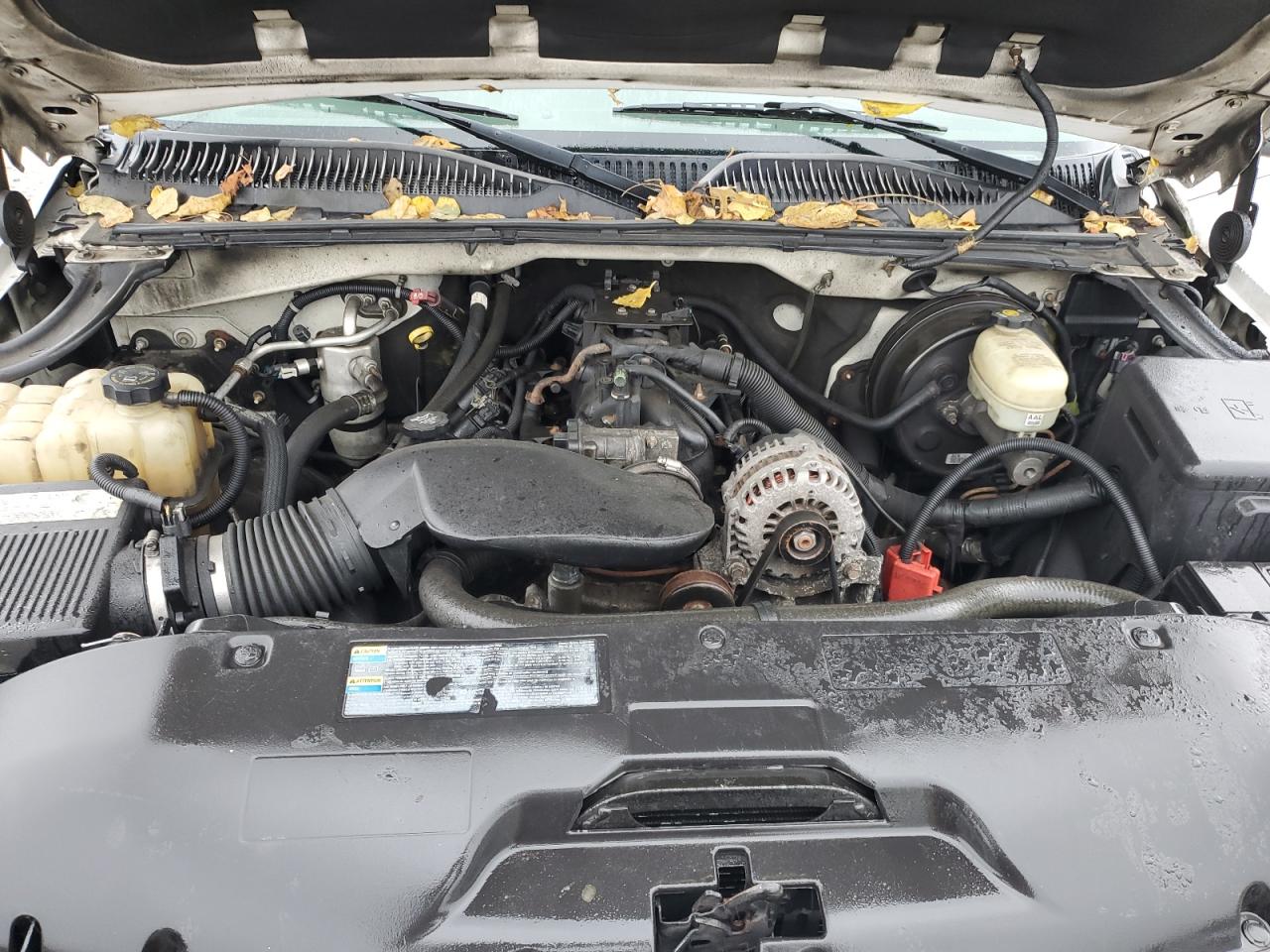 2006 GMC New Sierra K1500 VIN: 1GTEK19B06Z262924 Lot: 81559885