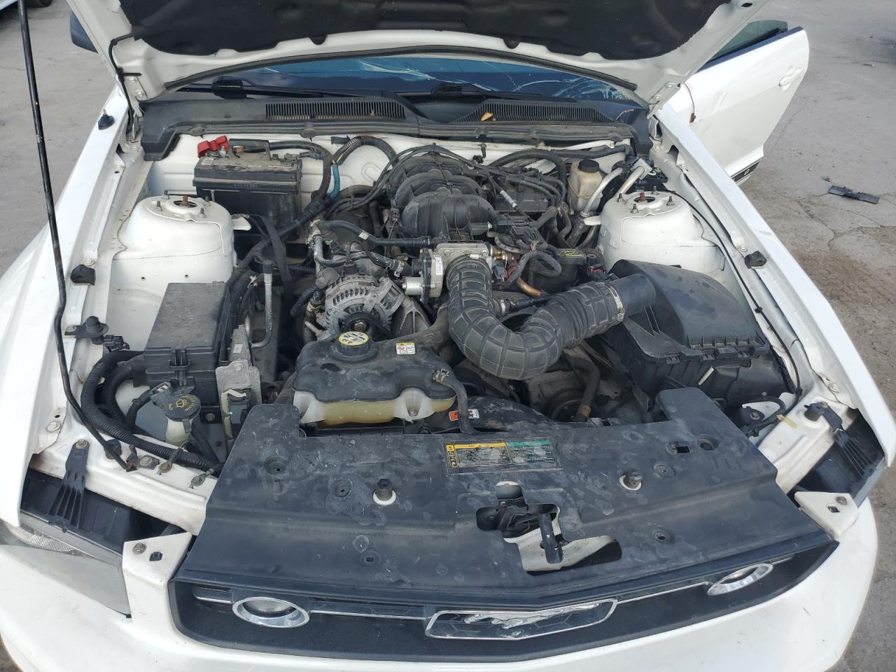 2009 Ford Mustang VIN: 1ZVHT80N495134446 Lot: 83821315