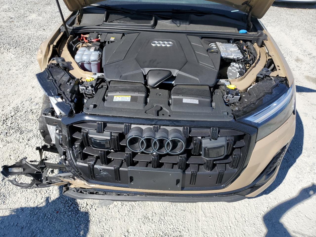 2025 Audi Q7 Premium Plus VIN: WA1LVBF77SD023800 Lot: 81697615