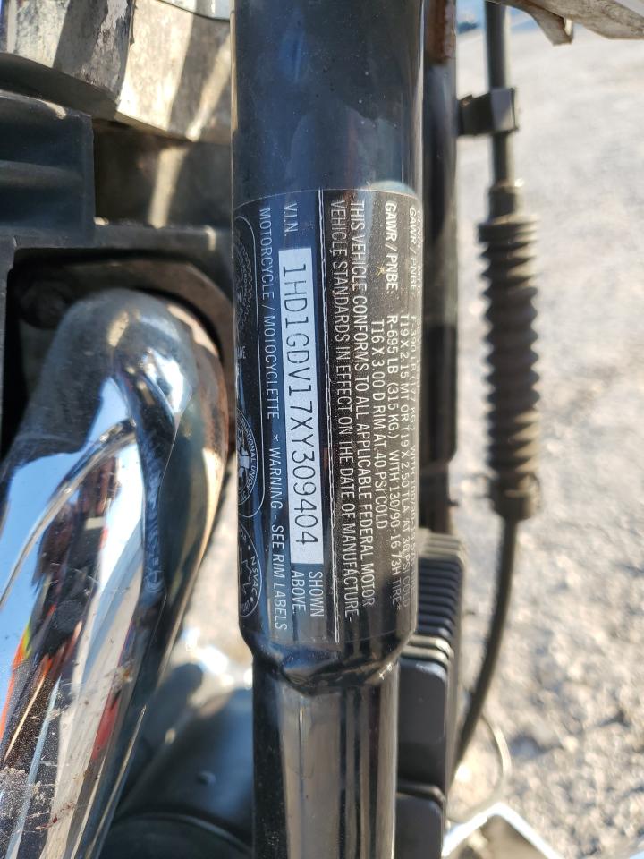 1999 Harley-Davidson Fxdl VIN: 1HD1GDV17XY309404 Lot: 84259205