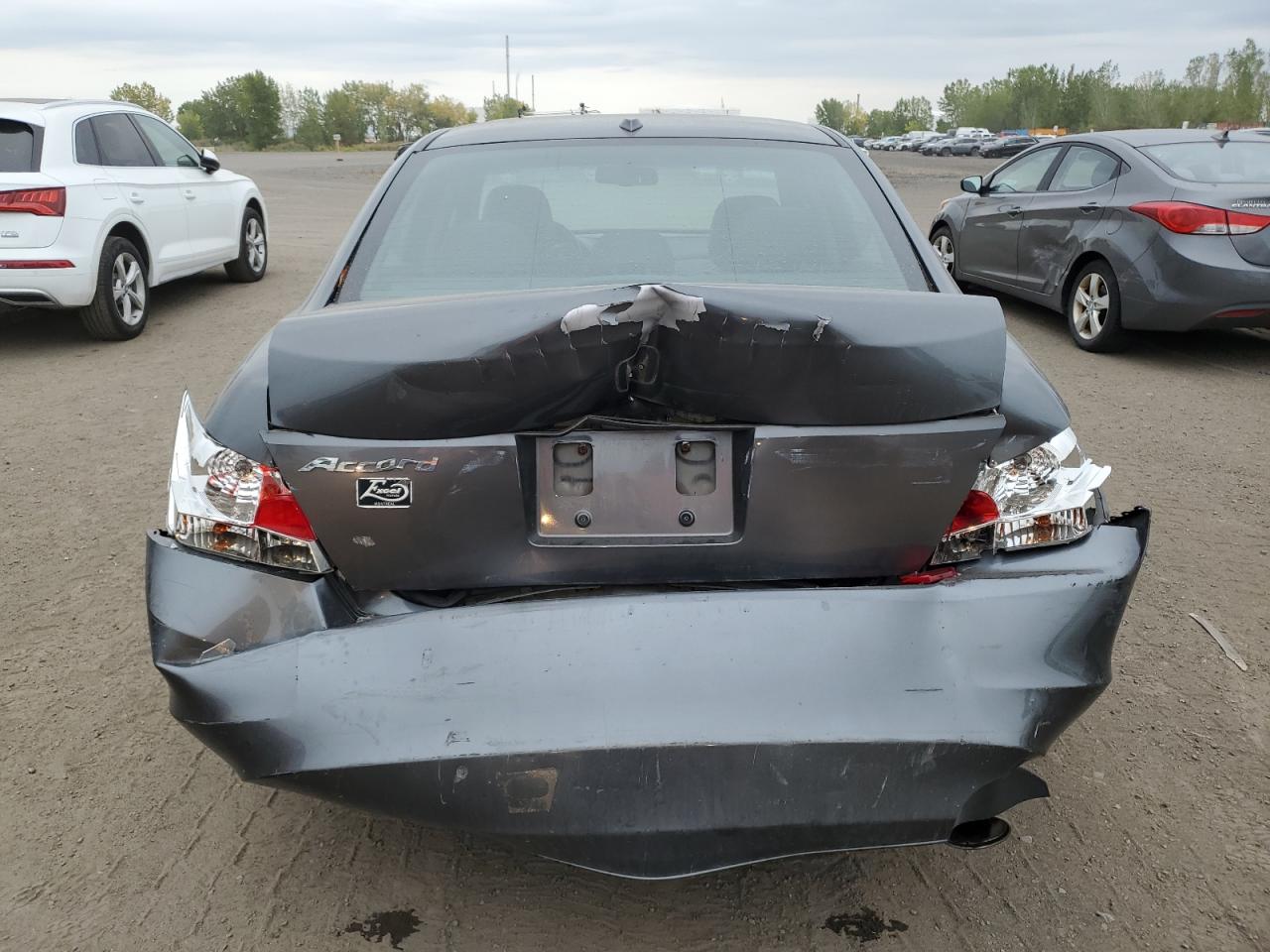 2009 Honda Accord Exl VIN: 1HGCP26889A809966 Lot: 81666765