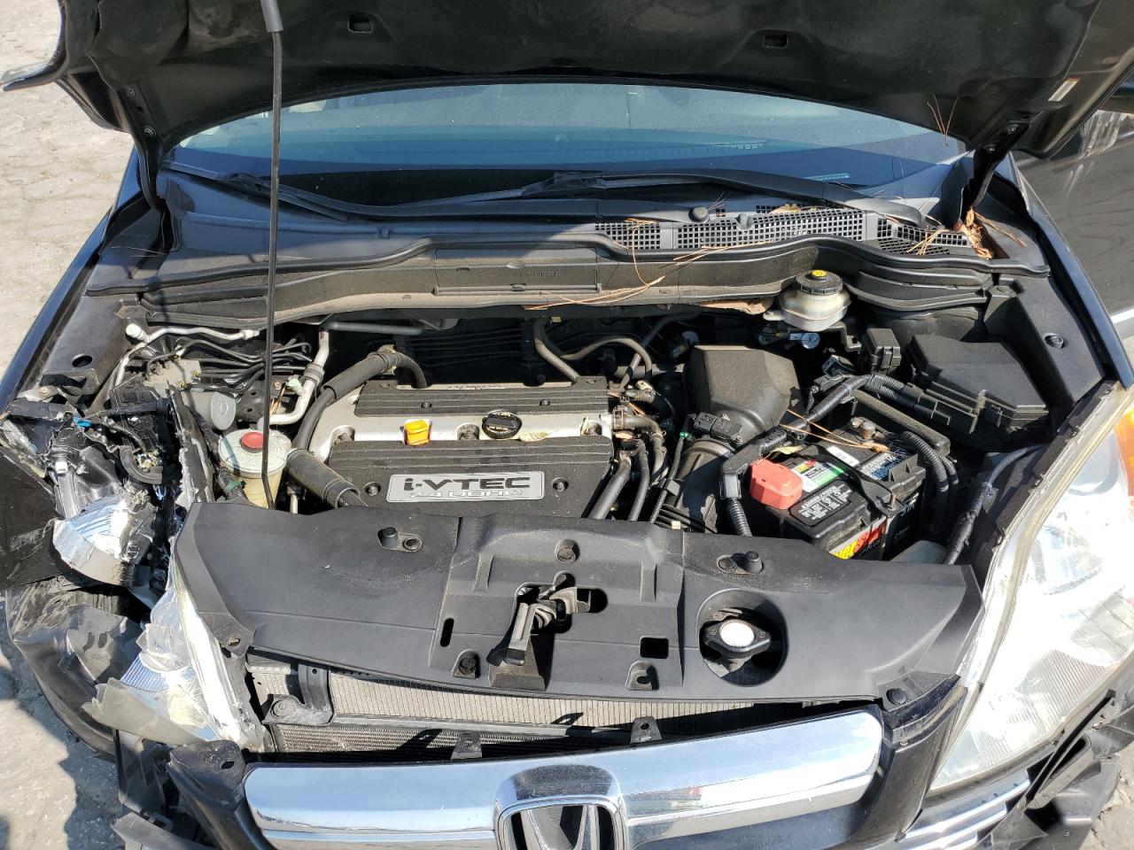 2008 Honda Cr-V Exl VIN: JHLRE387X8C019115 Lot: 80938825