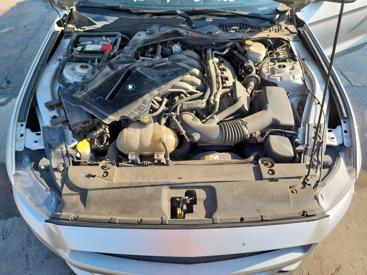 2017 Ford Mustang Gt VIN: 1FA6P8CF8H5323222 Lot: 71709775