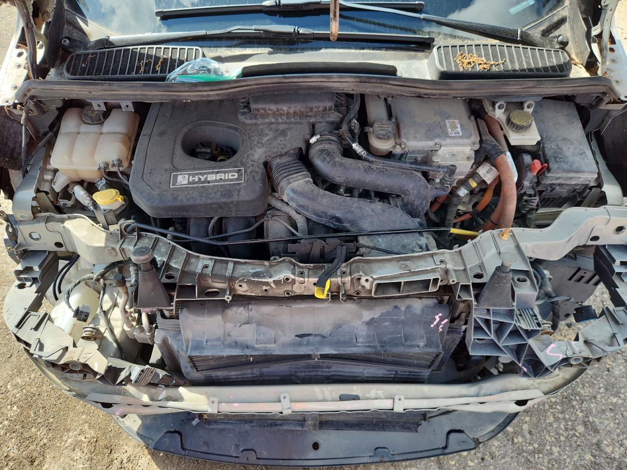 2015 Ford C-Max Se VIN: 1FADP5AU1FL110645 Lot: 81003545