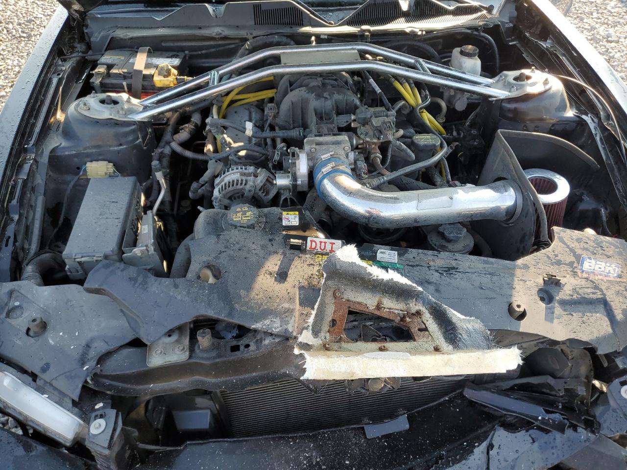 2010 Ford Mustang VIN: 1ZVBP8AN0A5178988 Lot: 71474075