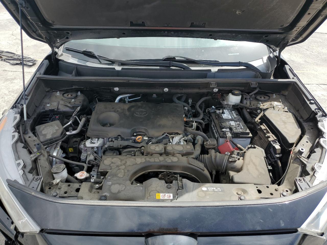 2021 Toyota Rav4 Xle VIN: 2T3W1RFV3MC095770 Lot: 81143885