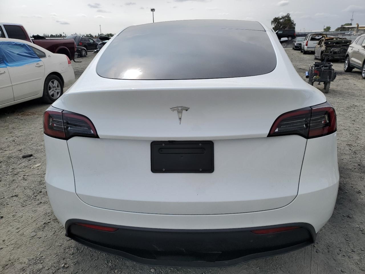 2025 Tesla Model Y VIN: 7SAYGDED8SF255343 Lot: 84446935