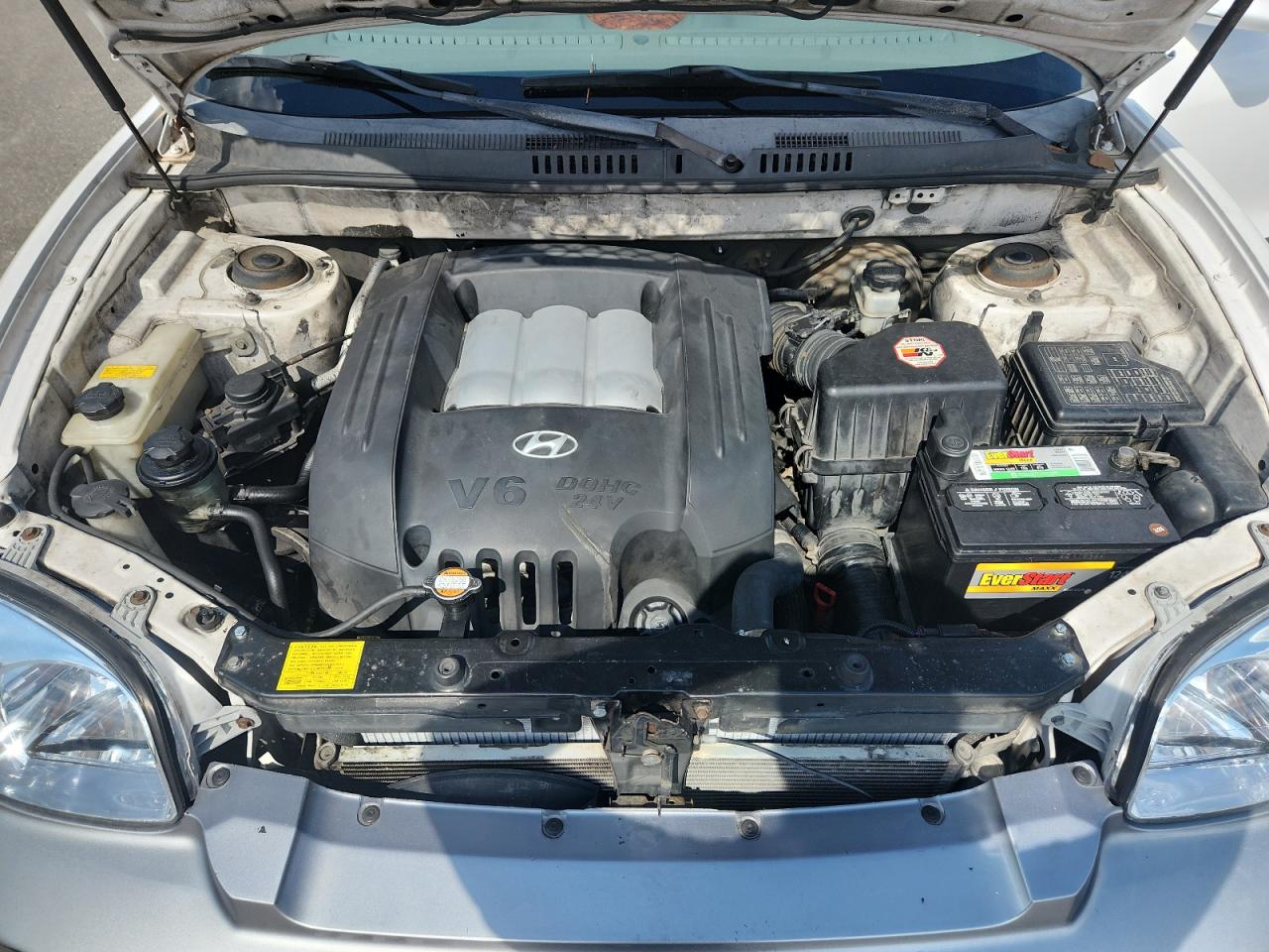 2003 Hyundai Santa Fe Gls VIN: KM8SC13D43U439148 Lot: 80037045