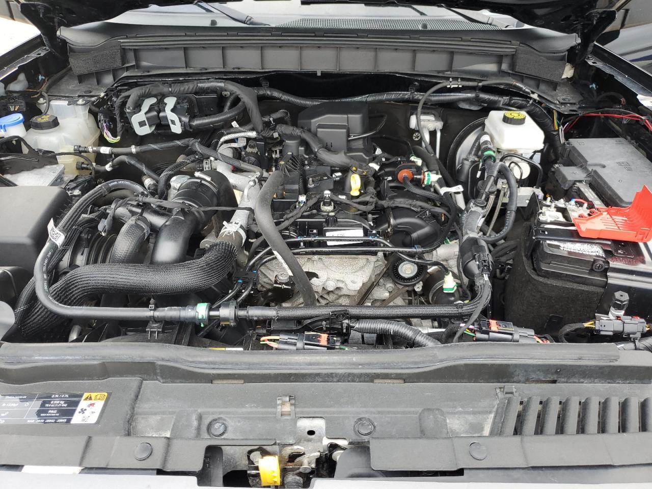 2023 Ford Bronco Base VIN: 1FMDE5BH1PLA88435 Lot: 83757175