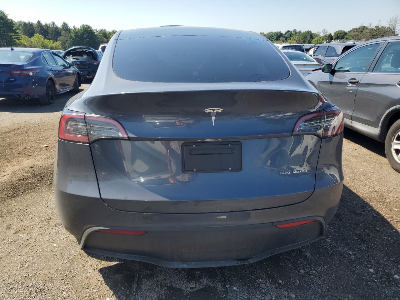 2024 Tesla Model Y VIN: 7SAYGDEE6RA217237 Lot: 69722845