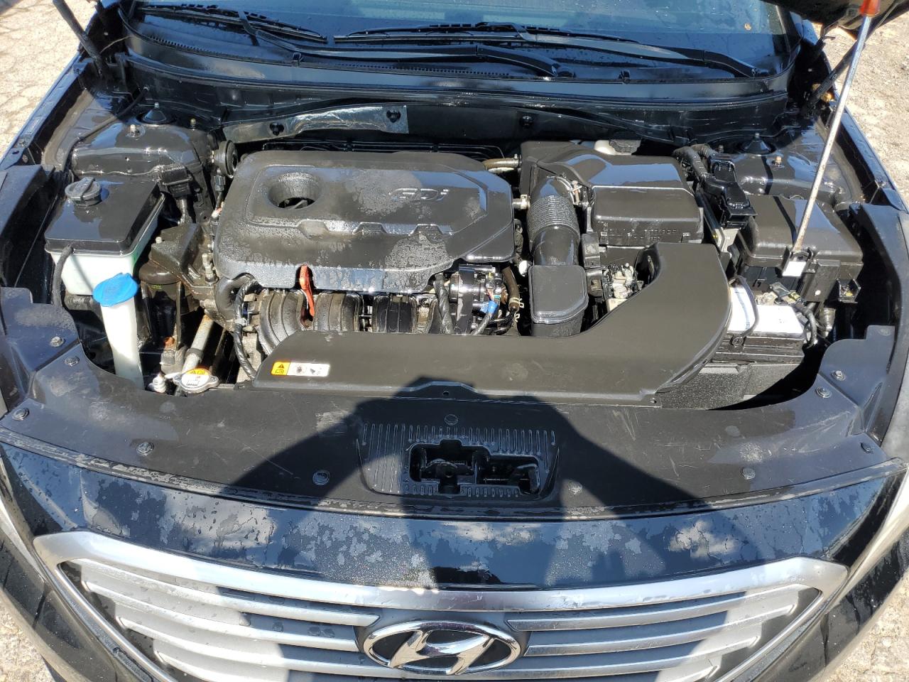 2017 Hyundai Sonata Se VIN: 5NPE24AF5HH557575 Lot: 71902655