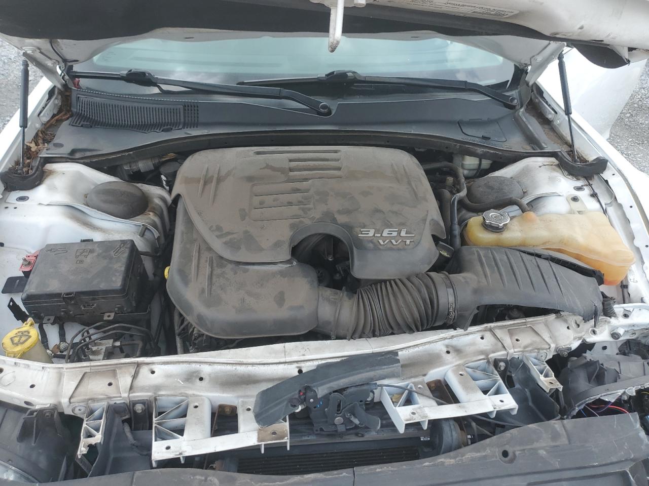 2015 Chrysler 300C VIN: 2C3CCAEG7FH908535 Lot: 81023195