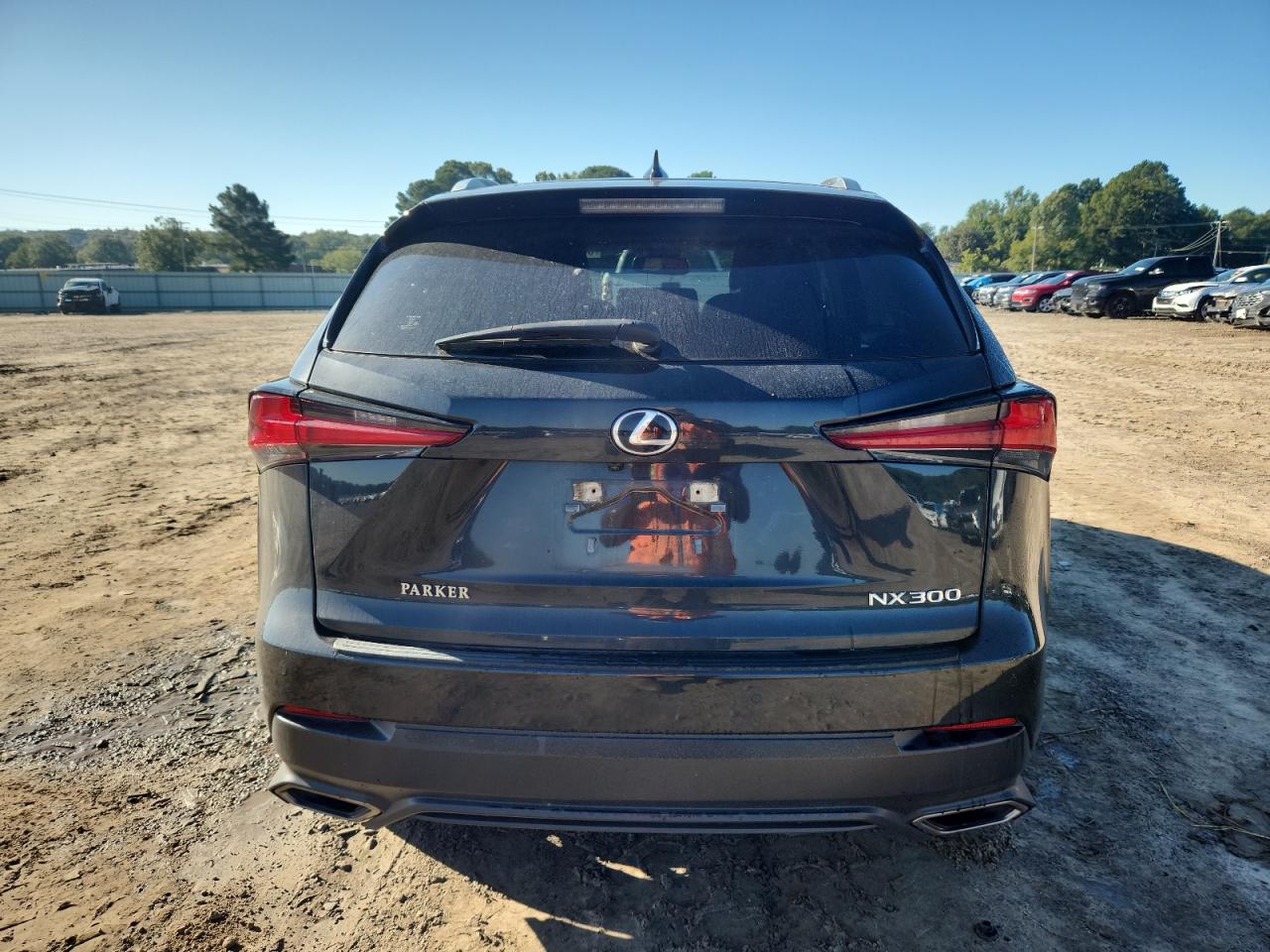 2020 Lexus Nx 300 VIN: JTJGARBZ9L5012955 Lot: 84235365