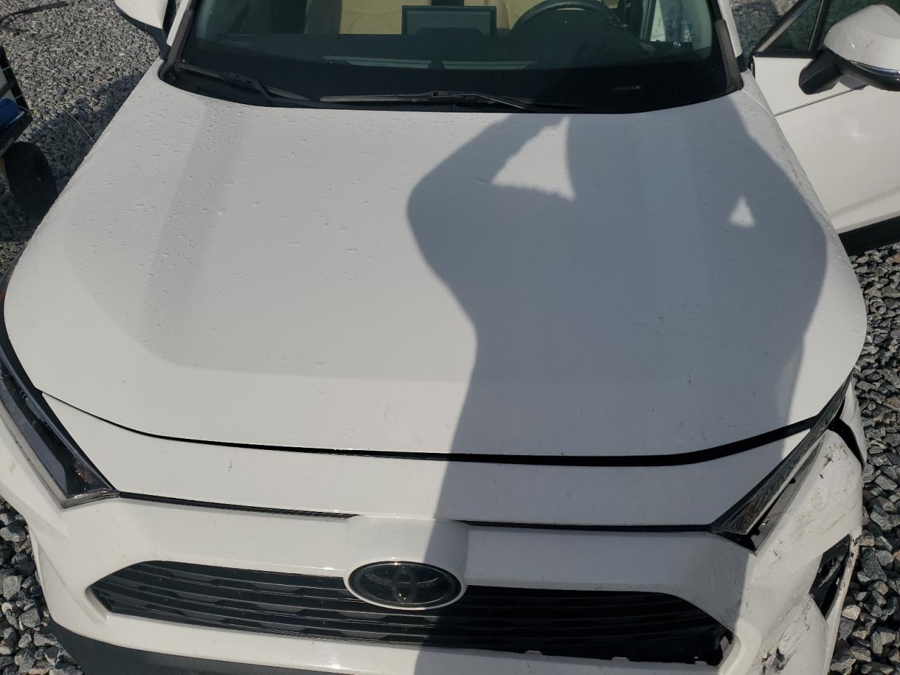 2021 Toyota Rav4 Xle VIN: 2T3W1RFVXMC116629 Lot: 82103245