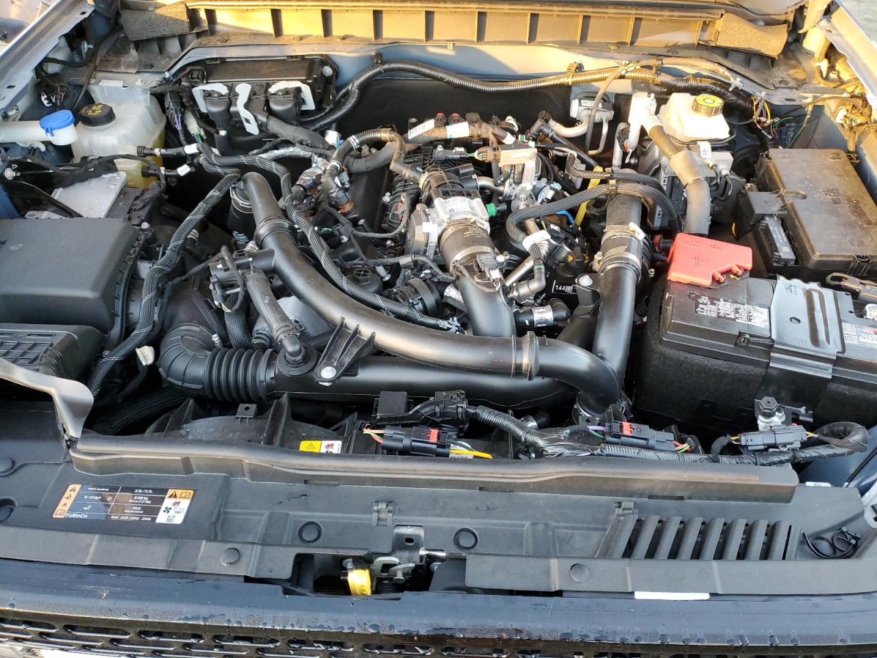 2024 Ford Bronco Wildtrak VIN: 1FMEE2BPXRLA46519 Lot: 84749265