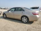 2007 TOYOTA CAMRY CE   à vendre chez Copart AB - EDMONTON
