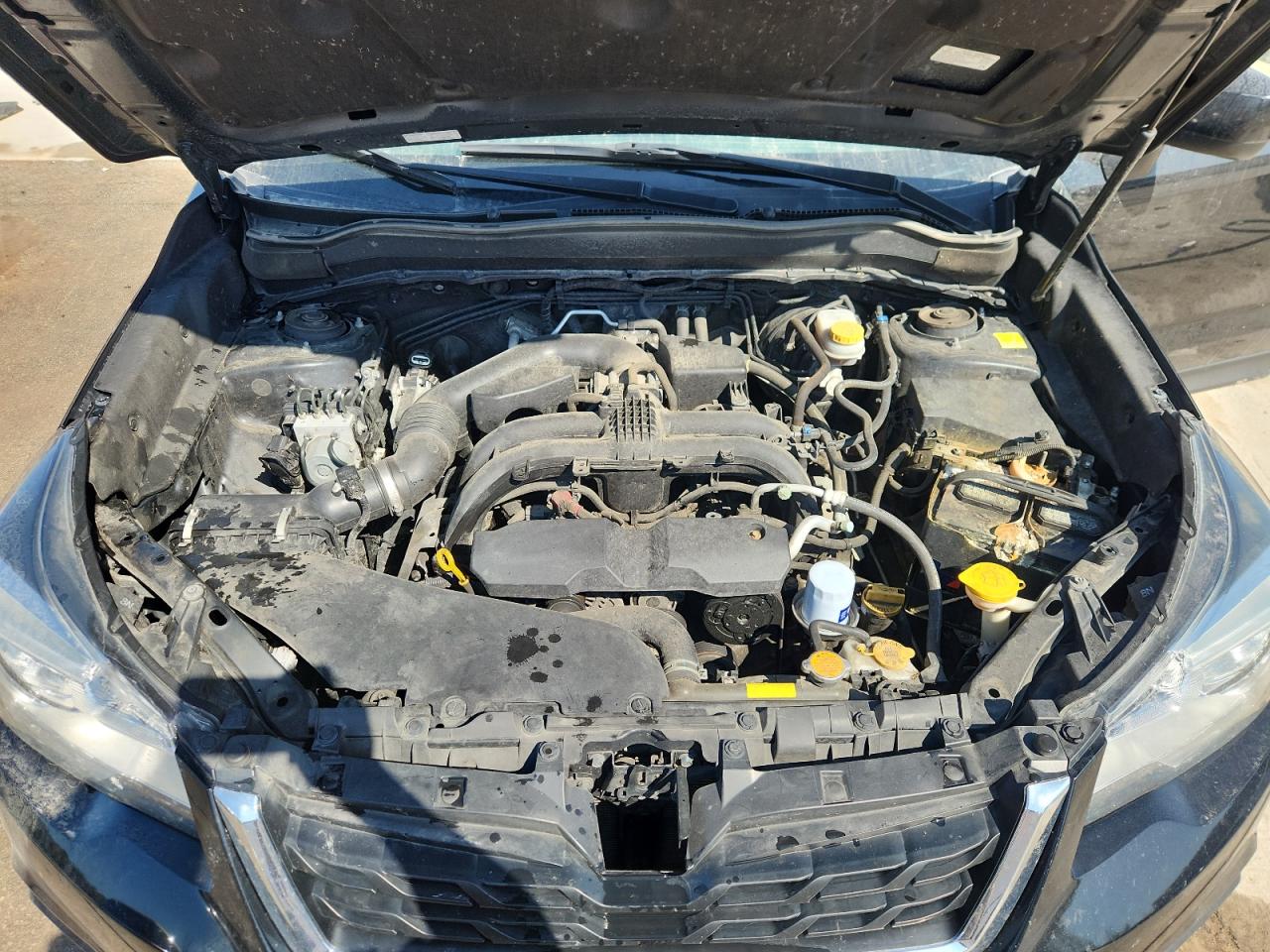 2017 Subaru Forester 2.5I Premium VIN: JF2SJAEC0HH560355 Lot: 80879985