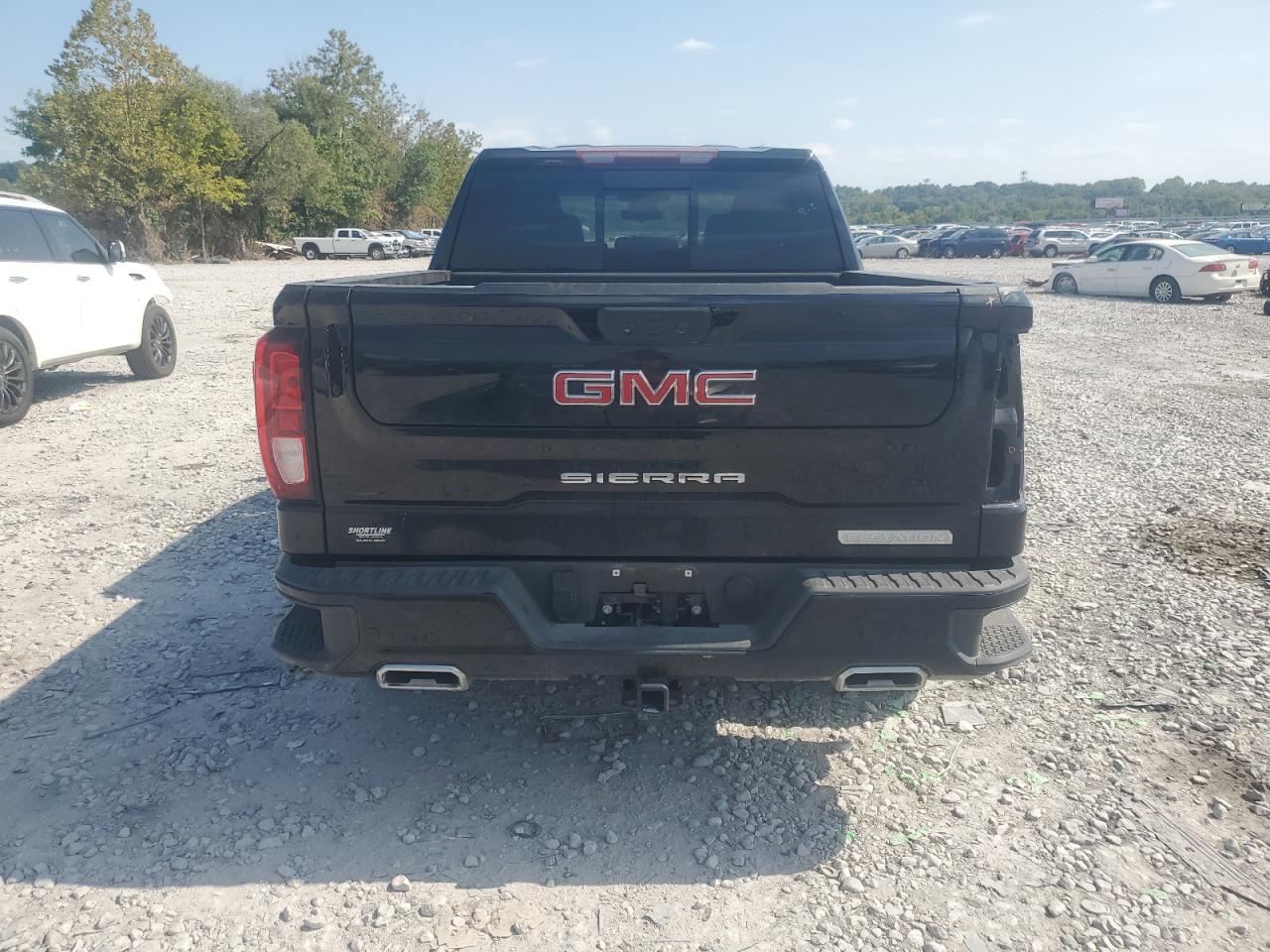 2024 GMC Sierra K1500 Elevation VIN: 3GTUUCE88RG360969 Lot: 80303785