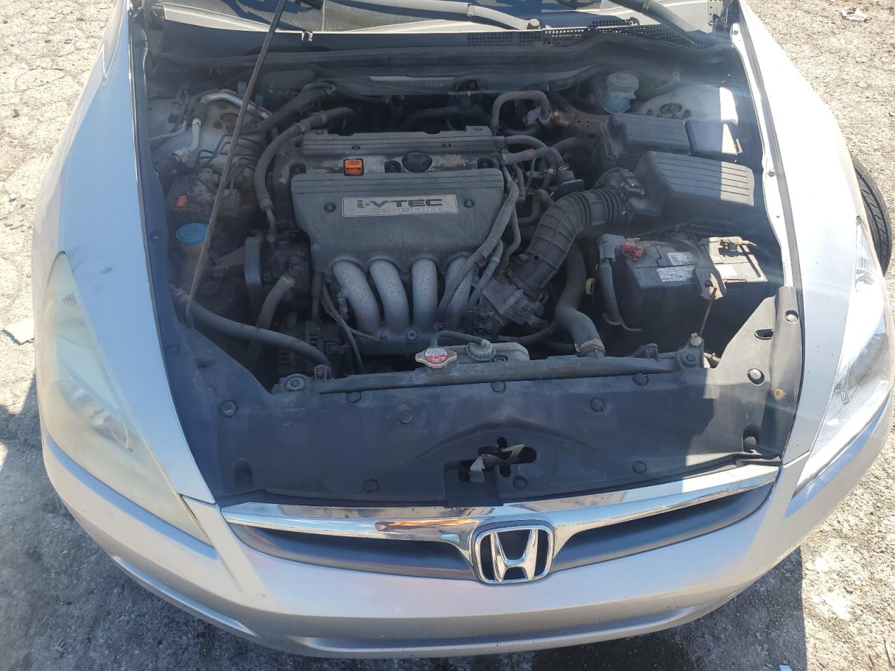 2006 Honda Accord Ex VIN: 1HGCM56756A126376 Lot: 81886355