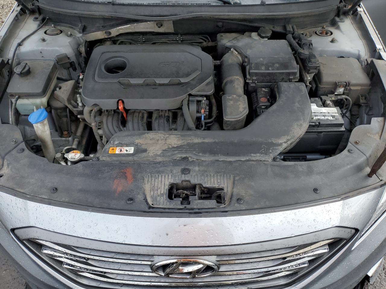 2016 Hyundai Sonata Sport VIN: 5NPE34AF4GH343057 Lot: 81710775