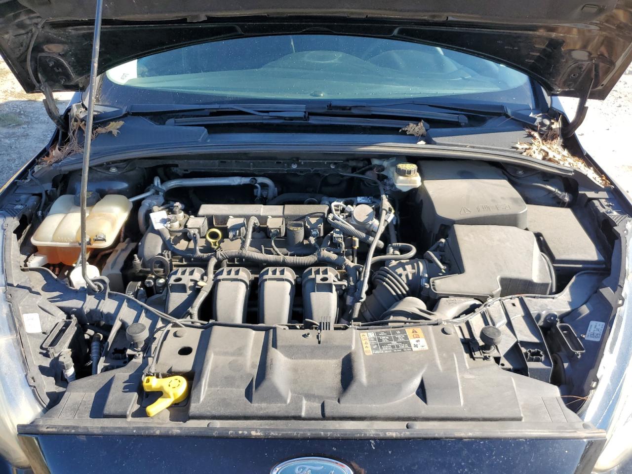 2017 Ford Focus Se VIN: 1FADP3K26HL247293 Lot: 81921295