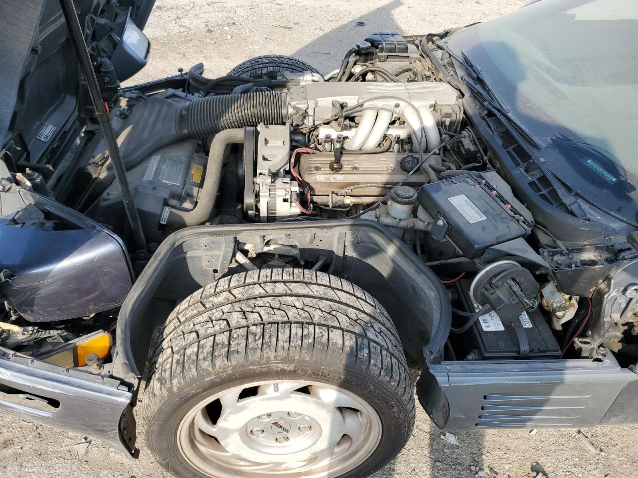 1991 Chevrolet Corvette VIN: 1G1YY2382M5105696 Lot: 80547455