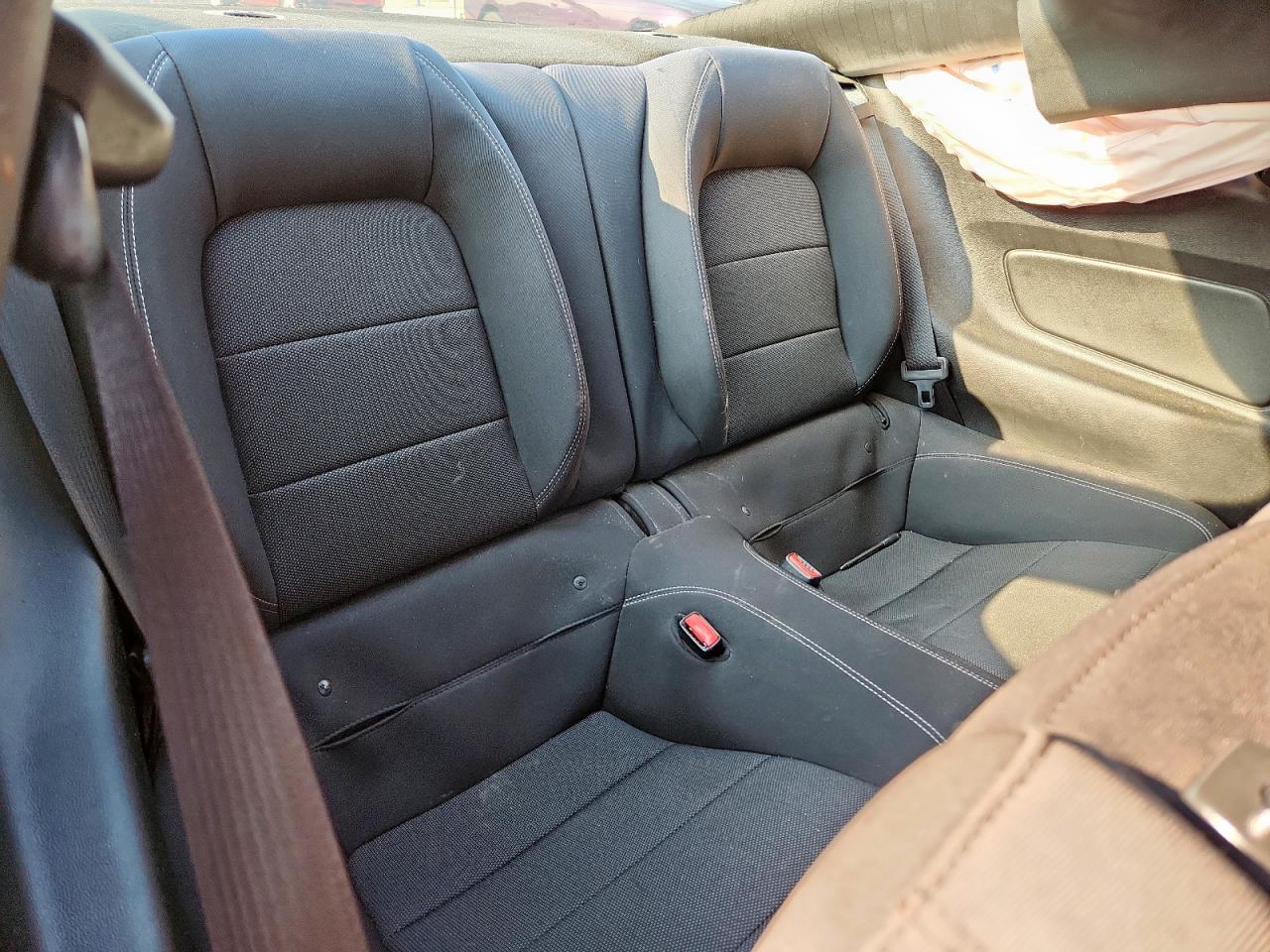 2017 Ford Mustang VIN: 1FA6P8AM5H5290679 Lot: 81404435