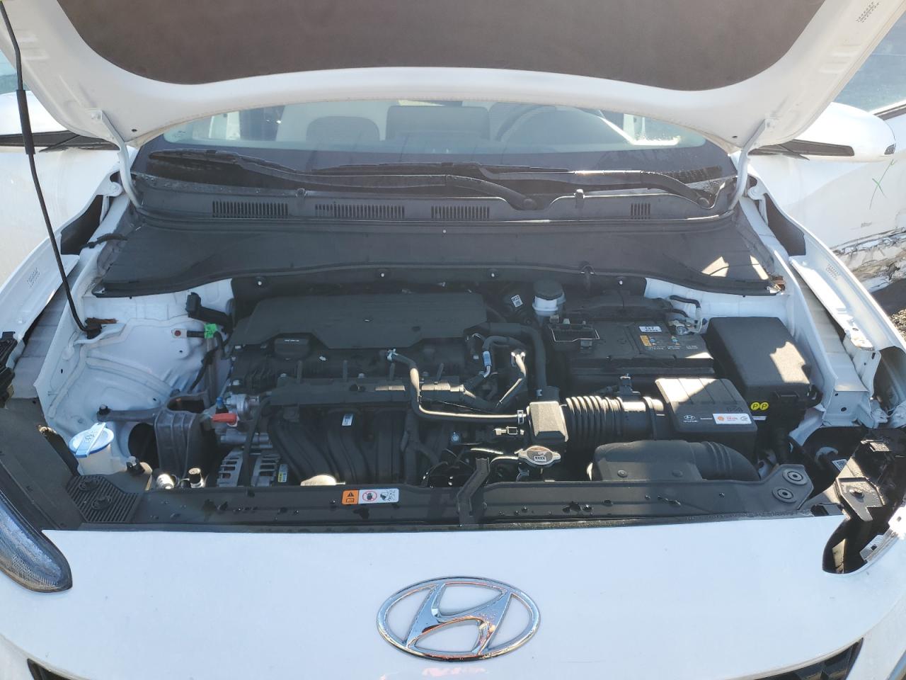 2023 Hyundai Kona Se VIN: KM8K22AB3PU055989 Lot: 84255775