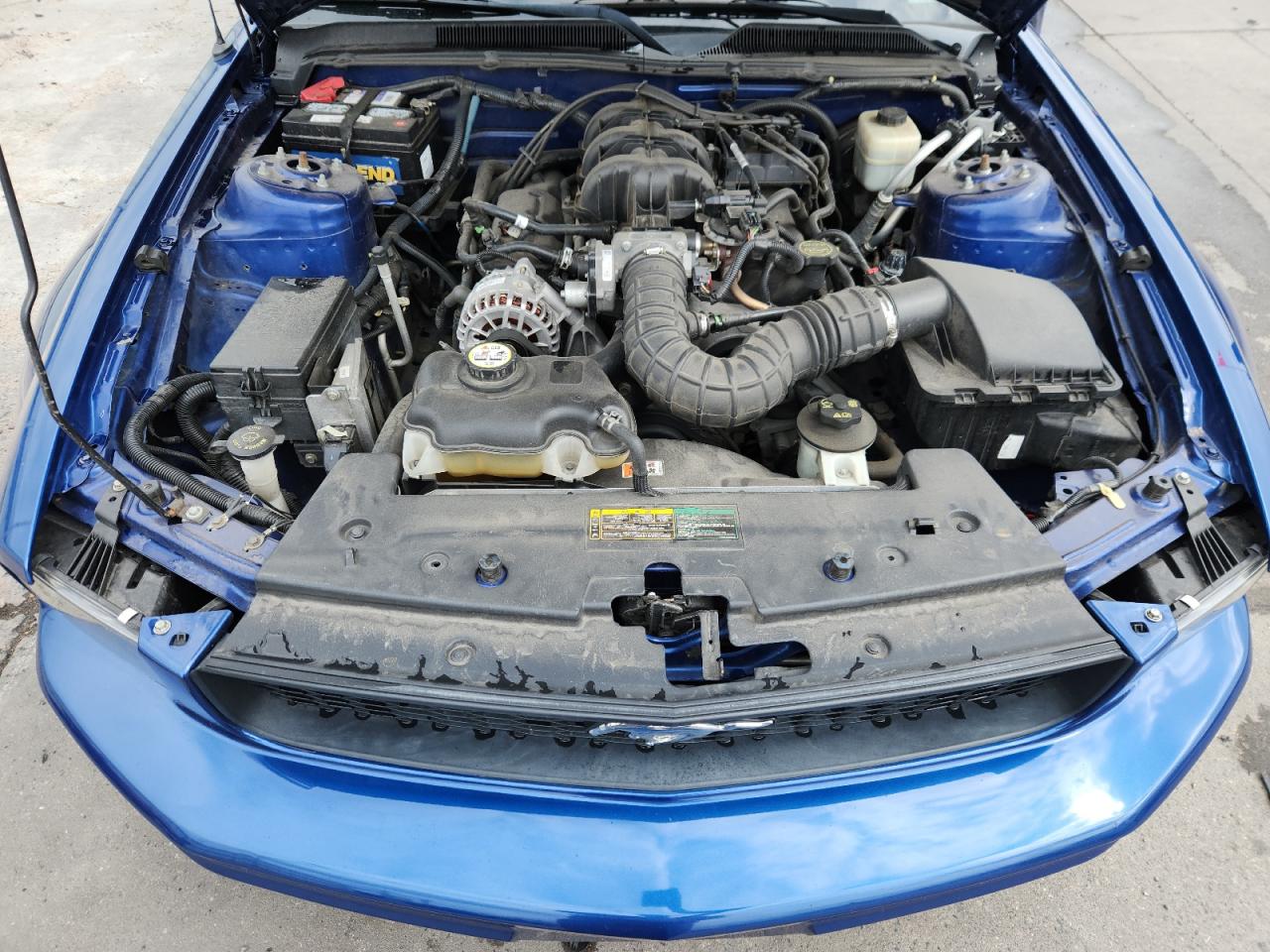 2007 Ford Mustang VIN: 1ZVFT80N875240693 Lot: 80310495