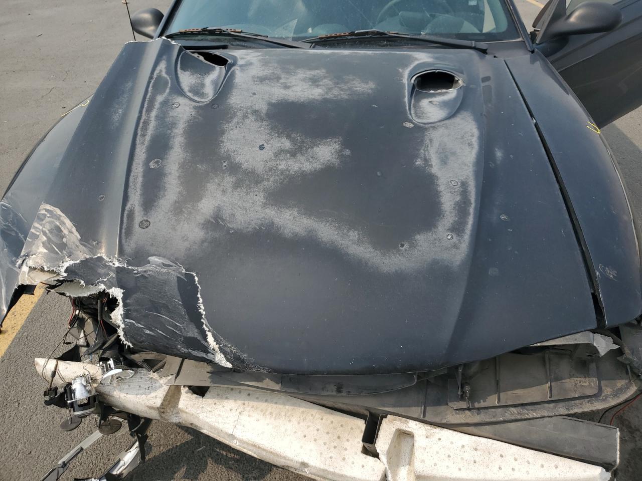 1997 Ford Mustang Cobra VIN: 1FALP47V7VF203706 Lot: 71905005