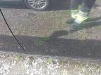 2011 OPEL INSIGNIA  for sale at Copart CASTLEDERMOT - IRELAND
