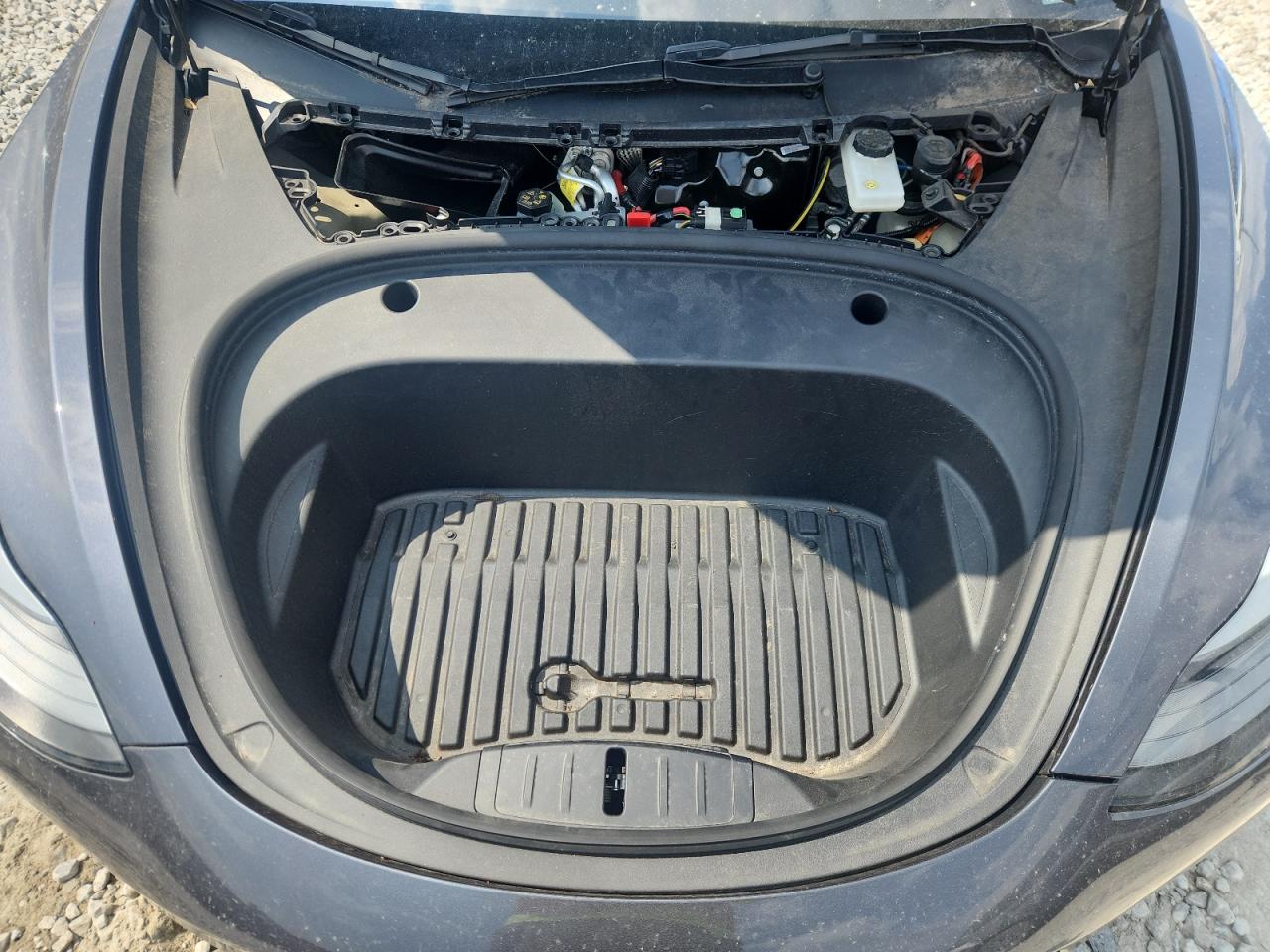 2023 Tesla Model 3 VIN: 5YJ3E1EA9PF687349 Lot: 81226555