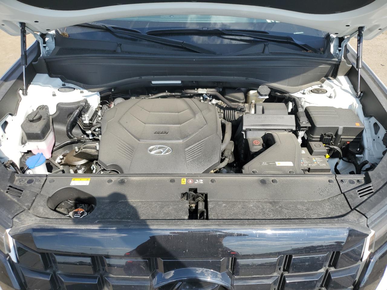 2025 Hyundai Palisade Sel VIN: KM8R2DGE3SU887868 Lot: 81033095