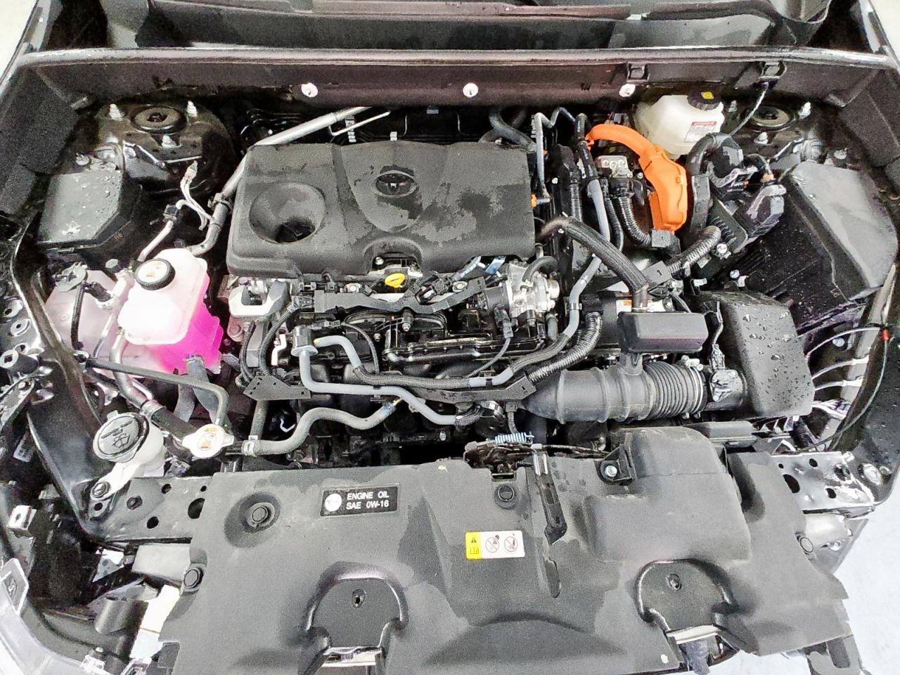 2024 Toyota Rav4 Le VIN: 2T3MWRFV6RW234272 Lot: 83995195