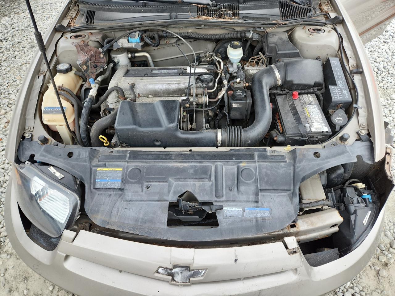 2004 Chevrolet Cavalier Ls VIN: 1G1JF52F647320219 Lot: 84404085