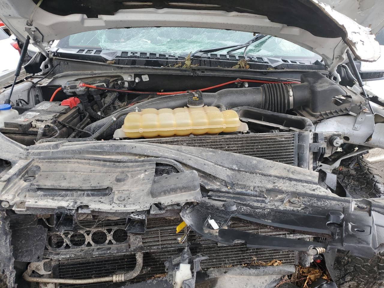 2019 Ford F150 Raptor VIN: 1FTFW1RG3KFB45998 Lot: 80753815