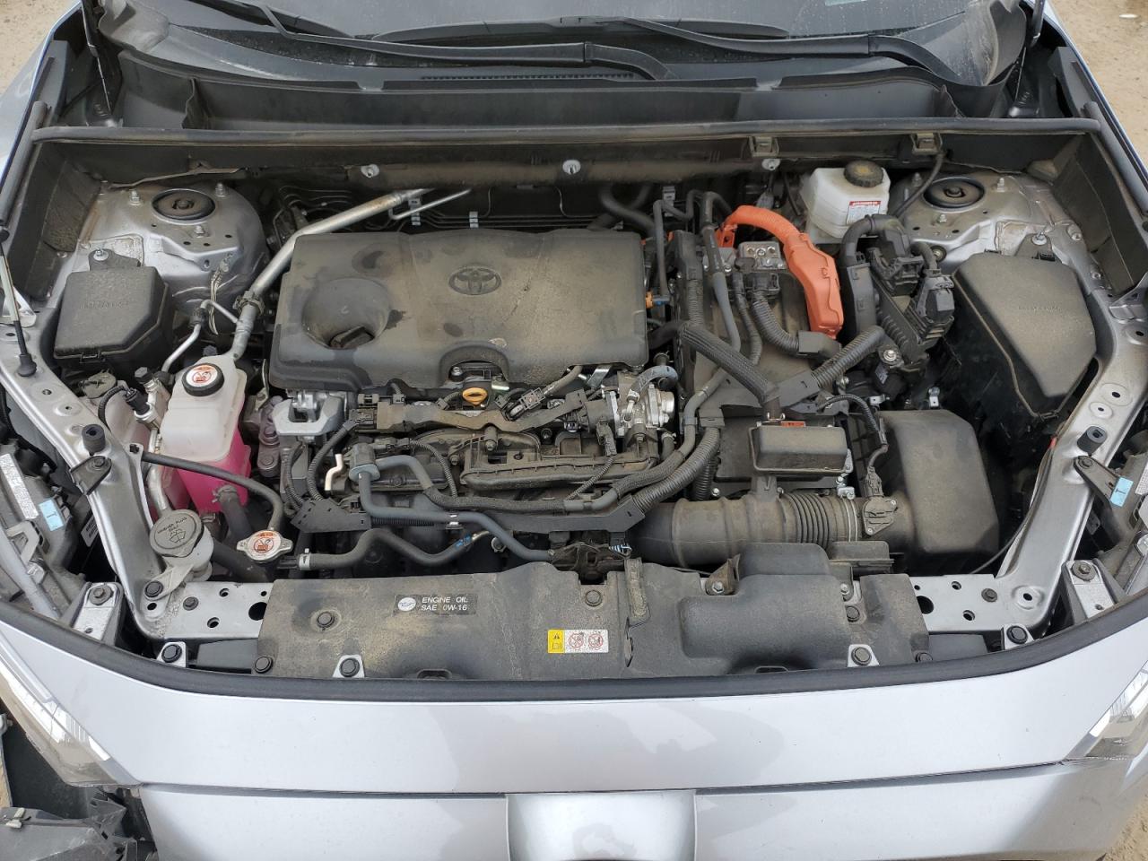 2023 Toyota Rav4 Xle VIN: 4T3RWRFV9PU094611 Lot: 84022625