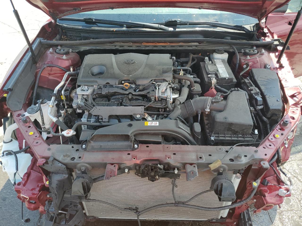 2019 Toyota Camry L VIN: 4T1B11HK6KU708729 Lot: 71628715