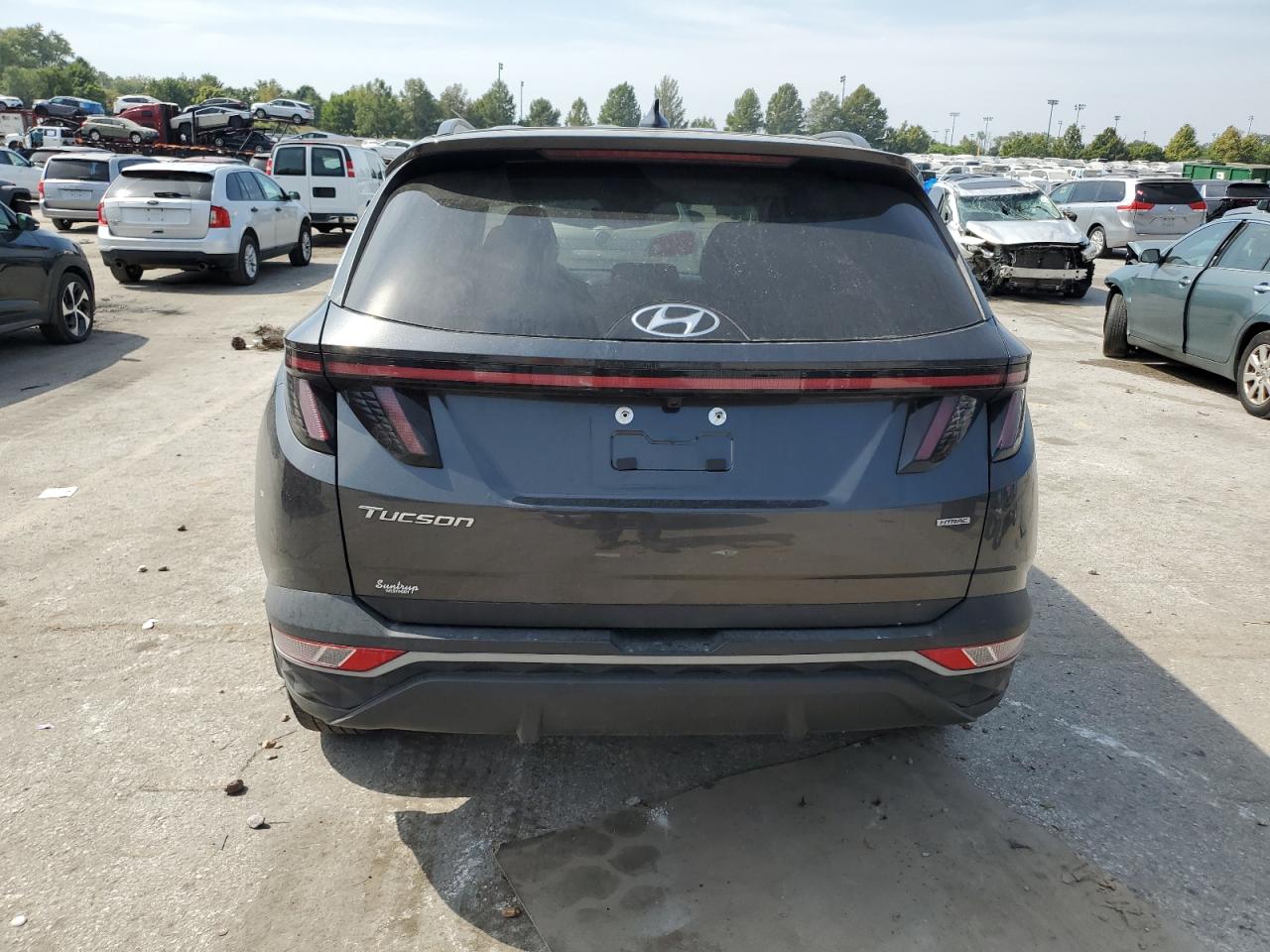 2023 Hyundai Tucson Sel VIN: 5NMJBCAE4PH209102 Lot: 81286485