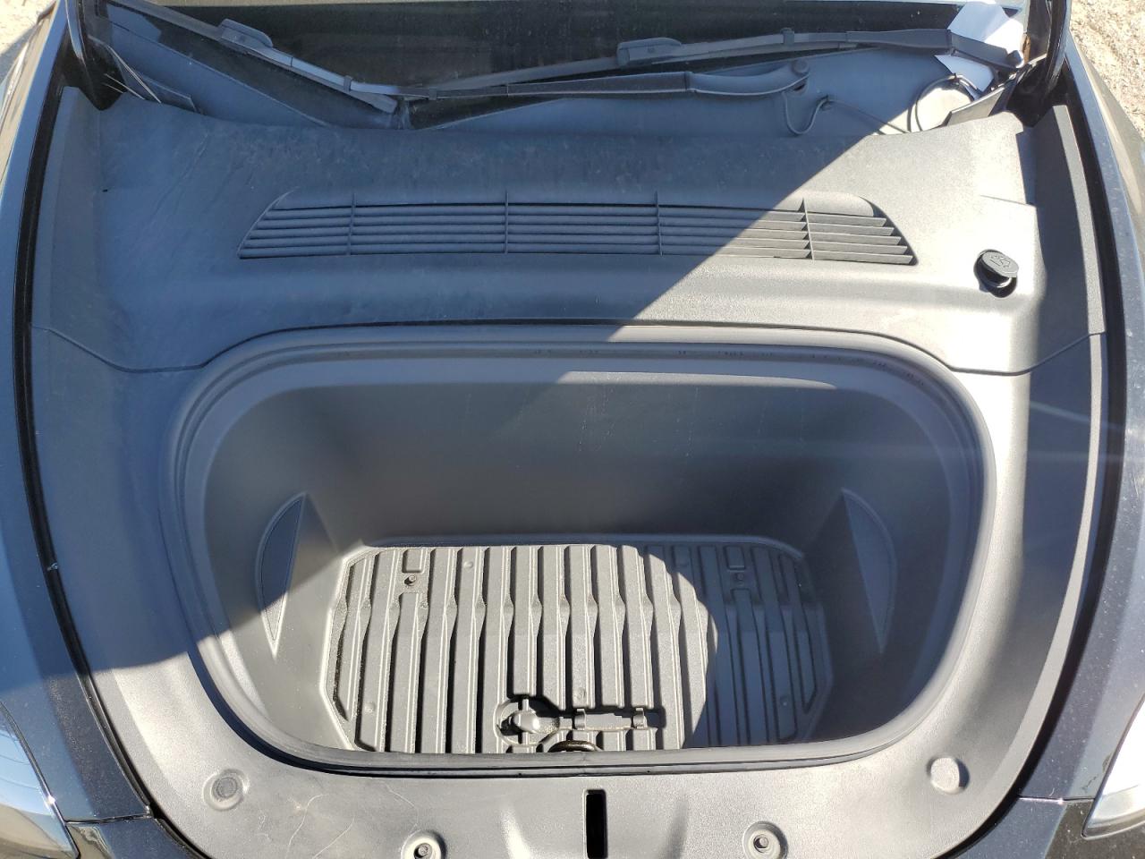 2022 Tesla Model Y VIN: 7SAYGDEE8NF345735 Lot: 81699145