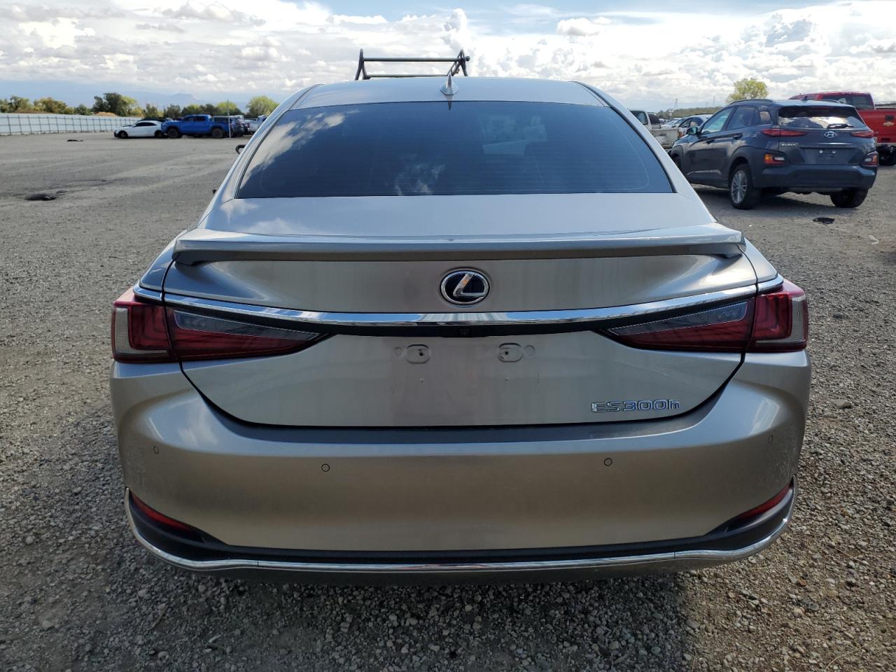 2020 Lexus Es 300H VIN: 58AD21B13LU008960 Lot: 80393405