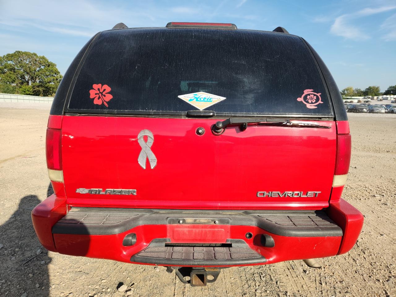 2002 Chevrolet Blazer VIN: 1GNDT13W02K118403 Lot: 81953685