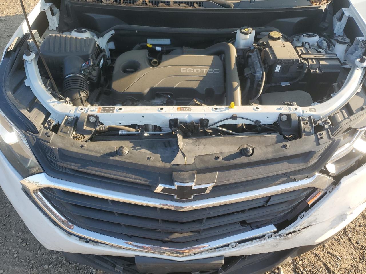 2020 Chevrolet Equinox Lt VIN: 3GNAXKEVXLS565148 Lot: 81035285