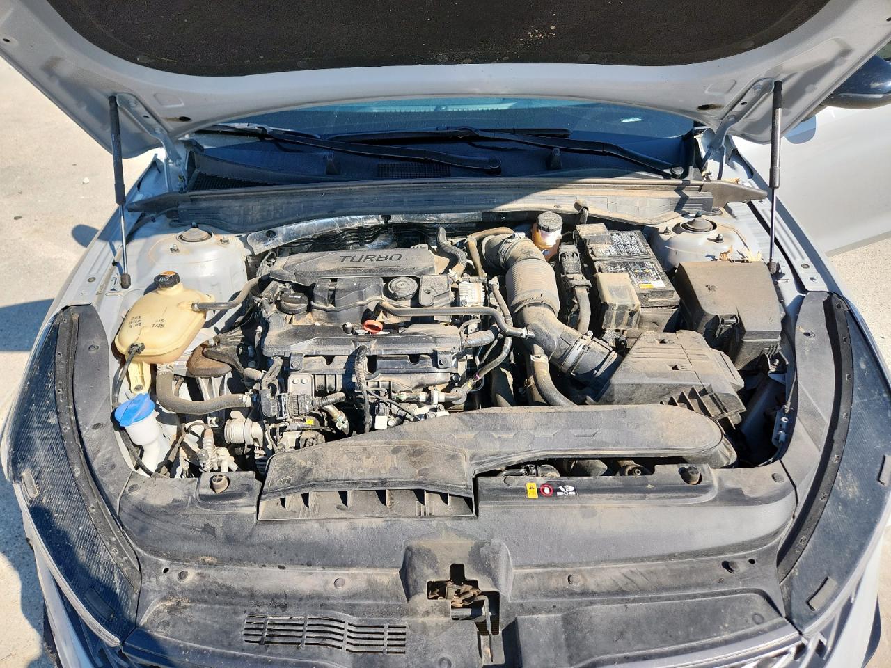 2024 Kia K5 Gt Line VIN: 5XXG64J20RG256588 Lot: 82155375