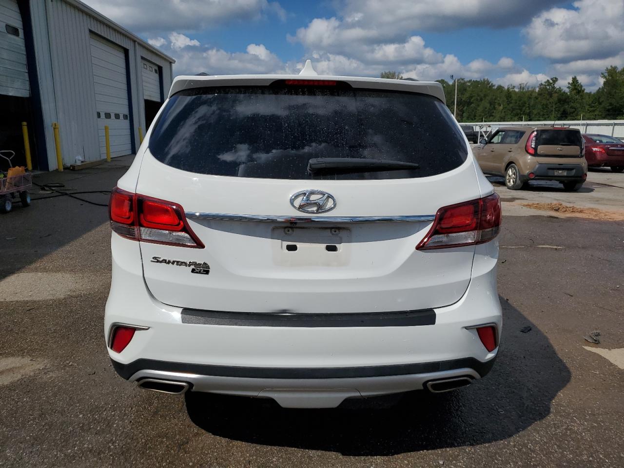 2019 Hyundai Santa Fe Xl Se VIN: KM8SN4HF9KU301187 Lot: 83983045