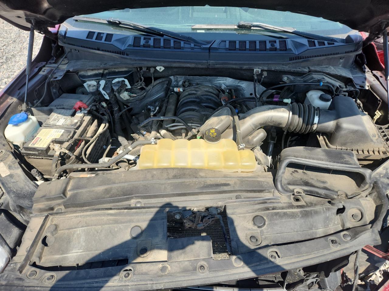 2019 Ford F150 Supercrew VIN: 1FTEW1E58KFB25908 Lot: 80387155