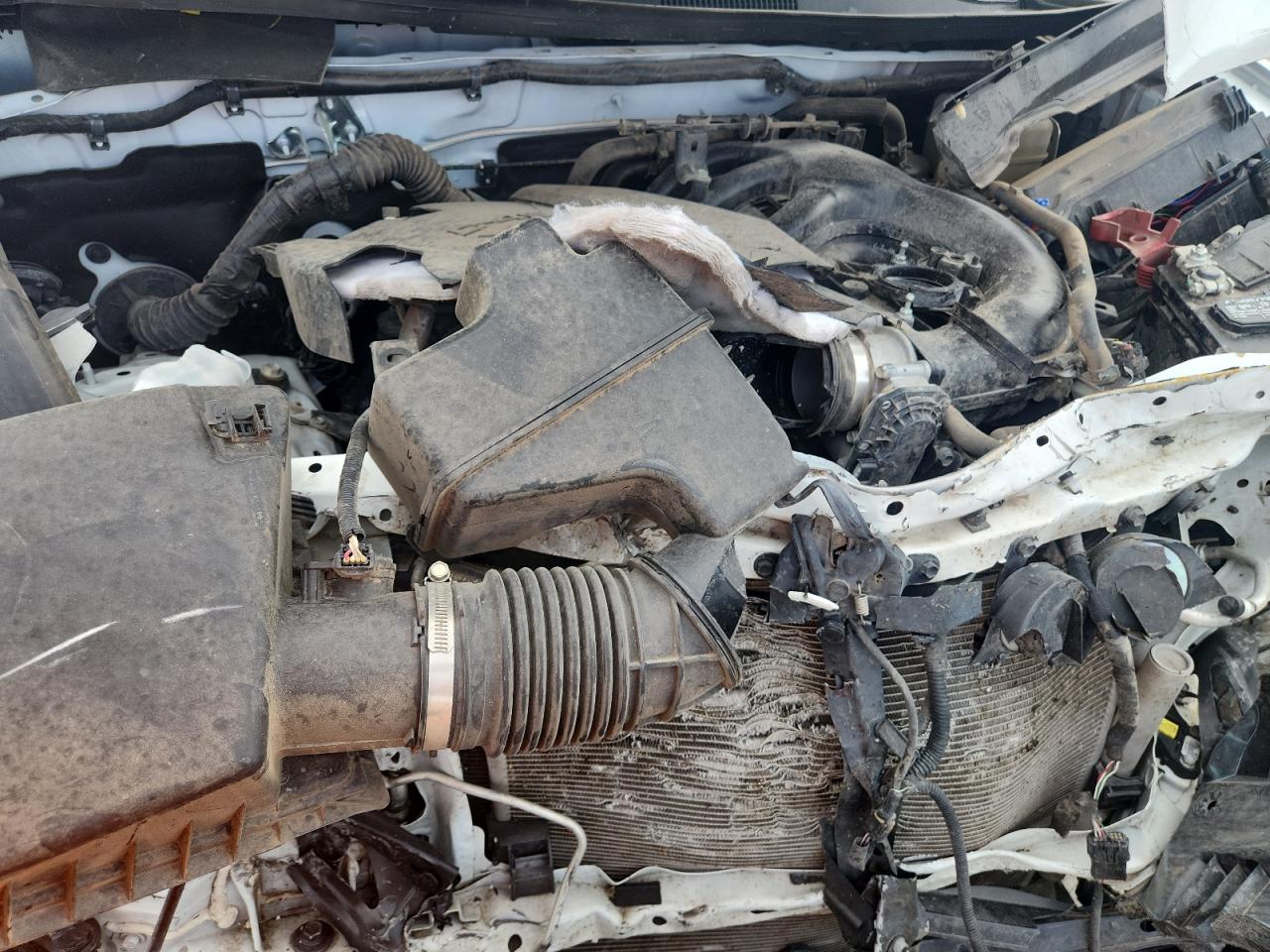 2021 Toyota Tacoma Double Cab VIN: 3TMCZ5AN5MM442933 Lot: 80530125