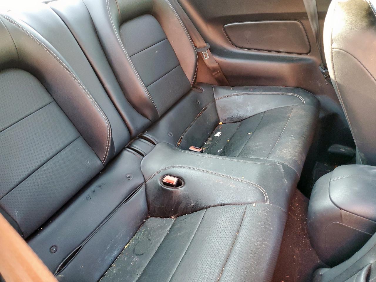 2019 Ford Mustang VIN: 1FA6P8TH6K5152821 Lot: 81040745