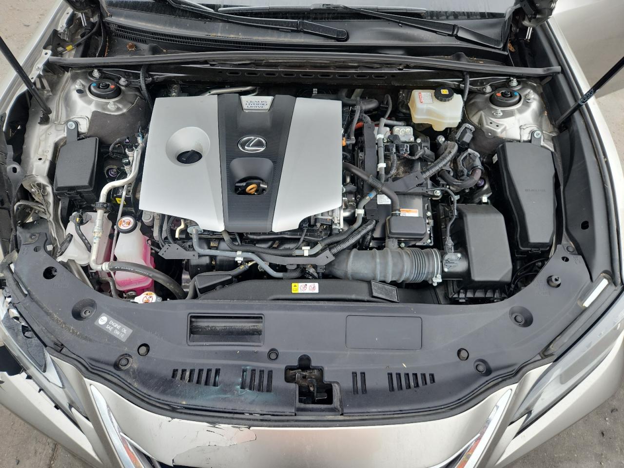 2020 Lexus Es 300H VIN: 58AD21B12LU005158 Lot: 81665715